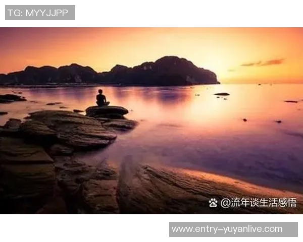 李泓澎的艺术之路与人生哲学探索：从创作到生活的深刻思考与感悟