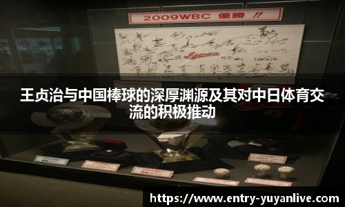 雨燕体育直播