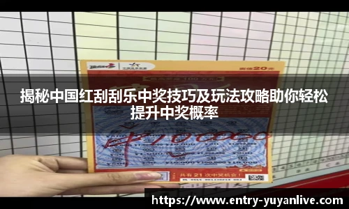 雨燕直播