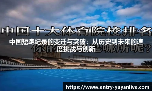 雨燕直播