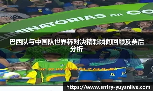 雨燕体育