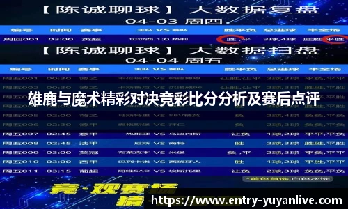 雨燕高清直播